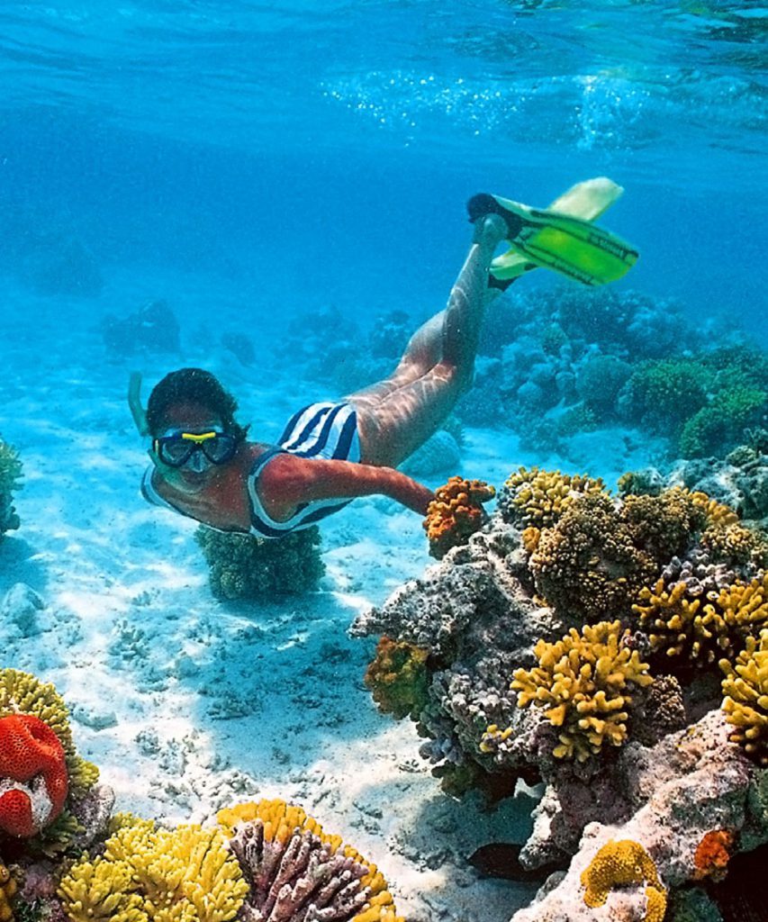 Person snorkeling underwater near colorful coral reefs with vibrant marine life in clear blue water.