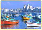 Colorful fishing boats moored in a harbor with a city skyline in the background.