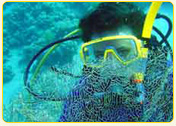 Diver wearing a yellow mask and snorkel underwater among coral reefs in clear blue water.