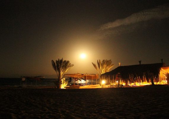 Moonlit beach scene featuring palm trees and a thatched-roof structure at night.