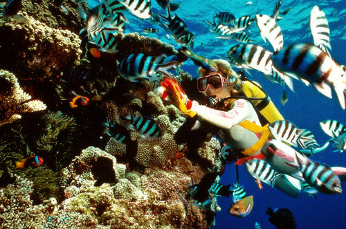 Crystal-clear waters of the Red Sea, ideal for snorkeling and diving adventures